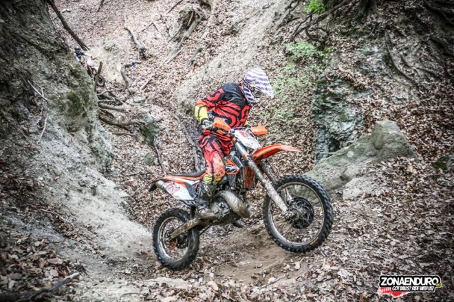 David Cyprian Koth 2014